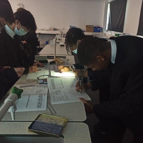 Reflection and Refraction – Year 10